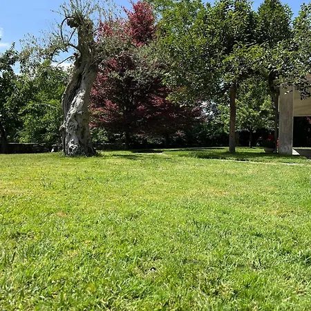 Semesterbostad Gorghe *